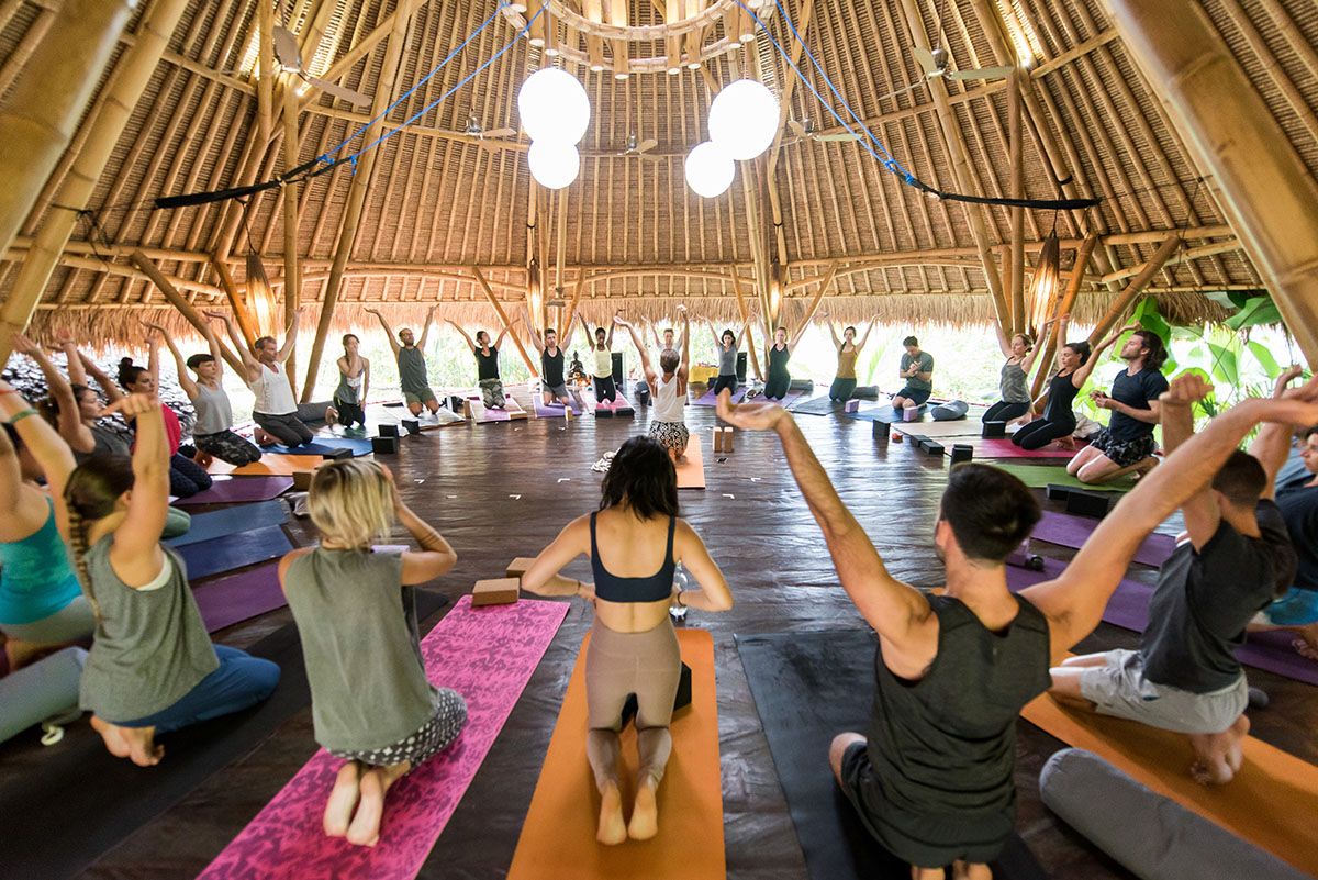 wellness-activities